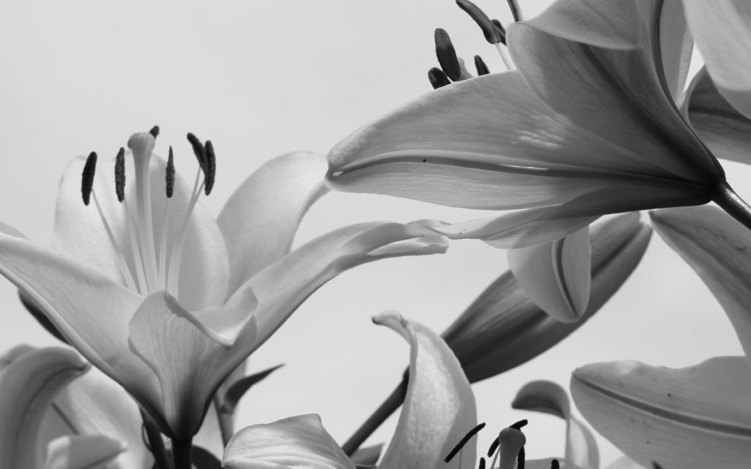 A More Personal Approach to Mental Health and Wellness Support